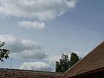 Třibřichy